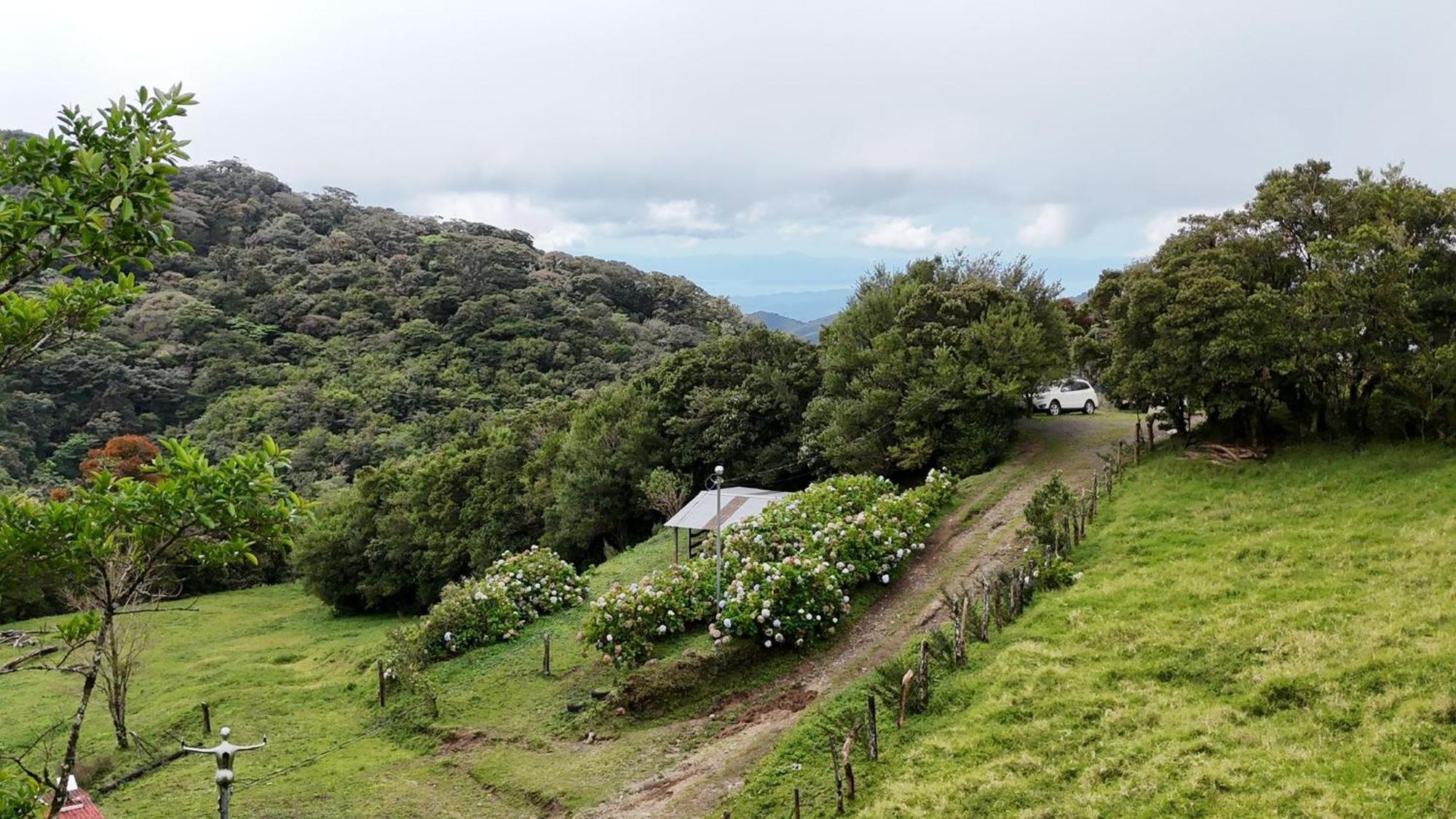 Dadirri House Minicasa Santa Elena Monteverde Exteriör bild